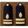 Image 1 : TWO U.S. NAVY MEDICAL CORPS COMMANDER SHOULDER BOARDS