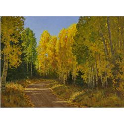 Jimmy Dyer - Fall Aspens