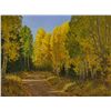 Image 1 : Jimmy Dyer - Fall Aspens