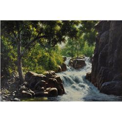 Bill Hughes - Forest Waterfall