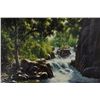 Image 1 : Bill Hughes - Forest Waterfall