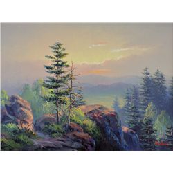 Dalhart Windberg - Mountaintop Landscape