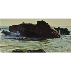 Stanley Ekman - The Gull