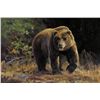 Image 1 : Ken Carlson - Out of Nowhere - Grizzly