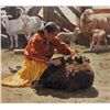 Image 1 : Ray Swanson - Shearing the Prized Dark Wool