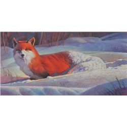 Nancy Glazier - Red Fox in Snow