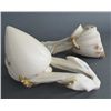 Image 2 : PAIR OF WALL MOUNT WORCESTER VASES