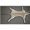 Image 2 : LEOPARD SKIN RUG, FULL HEAD MOUNT