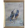 Image 2 : ORNITHOLOGICAL PAINTING BY BERNIE THOROUGHGOOD