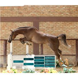 QUINTRAL LS - (Bid is for 1 of 42 Installments)