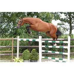 ENJOY VDL  - Bid is for 1 of 42 Instalments