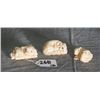 Image 1 : Three Chinese marine ivory netsukes of animals all