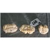Image 6 : Three Chinese marine ivory netsukes of animals all