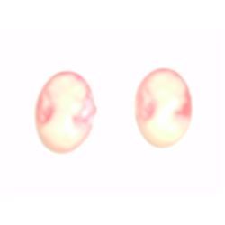 Vintage/Antique Cameo Button Covers (2)