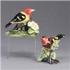 Image 1 : Two STANGL birds; a Western Tanager (#3749S), and a European Finch (#3922). Marked. Taller: 5" Est.