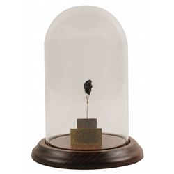 Apollo 11