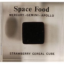 Space Food