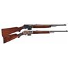 Image 1 : Collector's Lot of Two Winchester Semi-Automatic Rifles