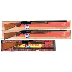 Three Boxed Winchester Shotguns