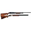 Image 1 : Two Winchester Shotguns