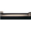 Image 2 : Black Powder Frame Colt Single Action Sheriffs Model Revolver with Etched Panel and Factory Letter