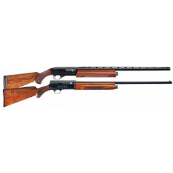 Two Semi-Automatic Shotguns