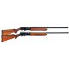 Image 1 : Two Semi-Automatic Shotguns
