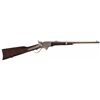 Image 1 : Spencer Model 1865 Repeating Saddle Ring Carbine