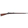 Image 1 : U.S. Springfield Model 1884 Trapdoor Rifle