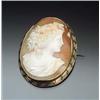 Image 1 : Gold Filled Shell Cameo Brooch First Quarter 20th Century Length: 2-1/2 in (6.4 cm) Width: 2 in (...