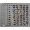 Image 1 : Stamp lot: 5 sheets of 50- 20 cent stamps 1981 State Birds