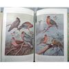 Image 2 : Bound volume #70 July to DEC 1936: COLOR PHOTO's BIRDS of the FIELD