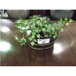 4 ASSORTED TABLE TOP EVERGREEN PLANTS