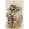 Image 1 : Quartz Gold Specimen, CA - Jackson,Amador