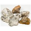 Image 1 : Con-Virginia Ophir Mine High Grade Specimens, NV - Virginia City,Storey County