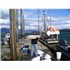 Image 1 : 6-day fishing trip for one angler in Gustavus, Alaska
