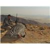 Image 2 : 7-day mountain zebra hunt for one hunter in Namibia - includes trophy fee