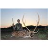 Image 1 : 3-day trophy axis deer and trophy boar hunt for one hunter and one non-hunter in Texas - includes tr