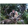 Image 1 : 5-day red stag hunt for two hunters in New Zealand - includes trophy fees