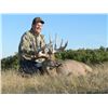 Image 1 : 5-day whitetail deer hunt for one hunter in Canada - includes trophy fee