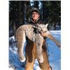 Image 1 : 7-day Canadian lynx hunt for one hunter in Southern British Columbia