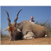 Image 1 : 7-day plains game hunt for two hunters in the Limpopo region of South Africa - includes trophy fee c