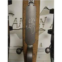Colorado Buck Signature Series Rifle