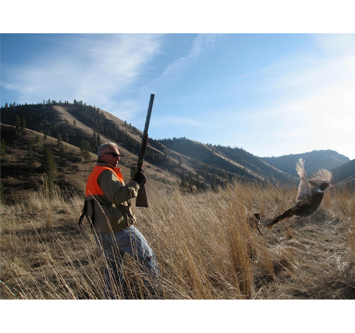 2day upland game bird hunt for two hunters in Idaho Dallas Safari Club