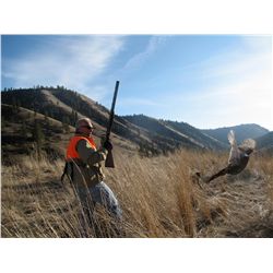 2-day upland game bird hunt for two hunters in Idaho