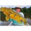 Image 2 : 6-day/7-night Amazon exotic species fishing safari for one angler in Brazil