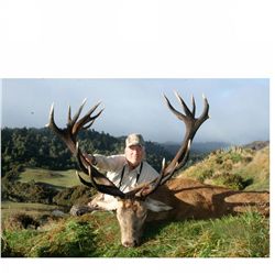 5-day red stag hunt for one hunter and one non-hunter in New Zealand - includes trophy fee