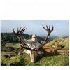 Image 1 : 5-day red stag hunt for one hunter and one non-hunter in New Zealand - includes trophy fee