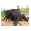 Image 1 : 5-day Vancouver Island black bear hunt for two hunters in Canada - includes trophy fees