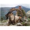 Image 1 : 7-day Anatolian (Bezoar) ibex hunt for one hunter in Turkey - includes trophy fee